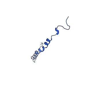 10468_6tdv_S_v1-0
Cryo-EM structure of Euglena gracilis mitochondrial ATP synthase, membrane region