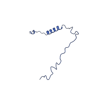 10468_6tdv_T_v1-0
Cryo-EM structure of Euglena gracilis mitochondrial ATP synthase, membrane region
