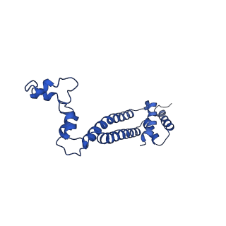 10468_6tdv_d_v1-0
Cryo-EM structure of Euglena gracilis mitochondrial ATP synthase, membrane region