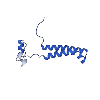10468_6tdv_e_v1-0
Cryo-EM structure of Euglena gracilis mitochondrial ATP synthase, membrane region