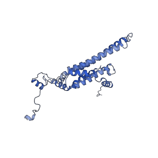 10468_6tdv_f_v1-0
Cryo-EM structure of Euglena gracilis mitochondrial ATP synthase, membrane region