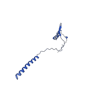 10468_6tdv_g_v1-0
Cryo-EM structure of Euglena gracilis mitochondrial ATP synthase, membrane region