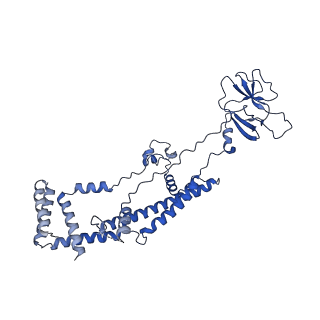 10468_6tdv_h_v1-0
Cryo-EM structure of Euglena gracilis mitochondrial ATP synthase, membrane region