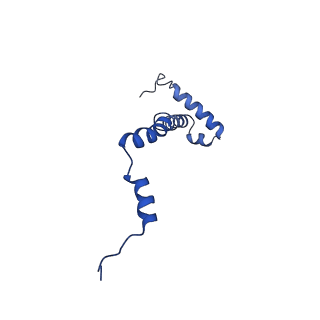 10468_6tdv_i_v1-0
Cryo-EM structure of Euglena gracilis mitochondrial ATP synthase, membrane region