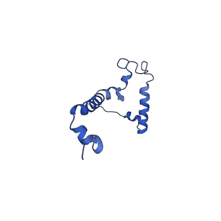 10468_6tdv_j_v1-0
Cryo-EM structure of Euglena gracilis mitochondrial ATP synthase, membrane region