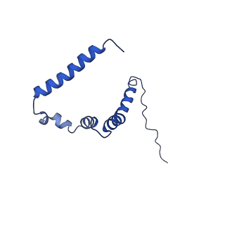 10468_6tdv_k_v1-0
Cryo-EM structure of Euglena gracilis mitochondrial ATP synthase, membrane region