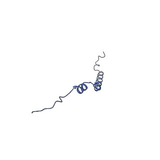 10468_6tdv_l_v1-0
Cryo-EM structure of Euglena gracilis mitochondrial ATP synthase, membrane region