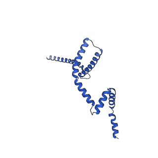 10468_6tdv_m_v1-0
Cryo-EM structure of Euglena gracilis mitochondrial ATP synthase, membrane region