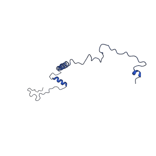 10468_6tdv_n_v1-0
Cryo-EM structure of Euglena gracilis mitochondrial ATP synthase, membrane region