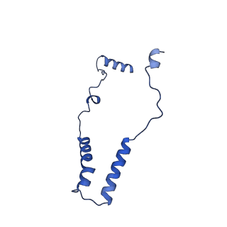 10468_6tdv_o_v1-0
Cryo-EM structure of Euglena gracilis mitochondrial ATP synthase, membrane region
