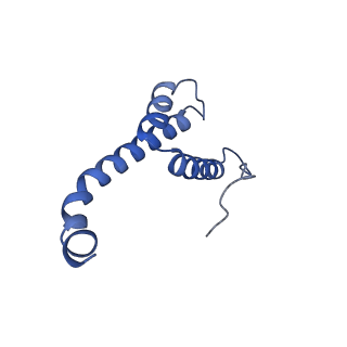 10468_6tdv_q_v1-0
Cryo-EM structure of Euglena gracilis mitochondrial ATP synthase, membrane region