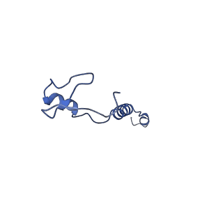 10468_6tdv_r_v1-0
Cryo-EM structure of Euglena gracilis mitochondrial ATP synthase, membrane region
