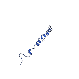 10468_6tdv_s_v1-0
Cryo-EM structure of Euglena gracilis mitochondrial ATP synthase, membrane region