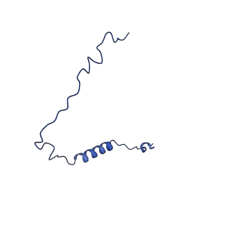 10468_6tdv_t_v1-0
Cryo-EM structure of Euglena gracilis mitochondrial ATP synthase, membrane region