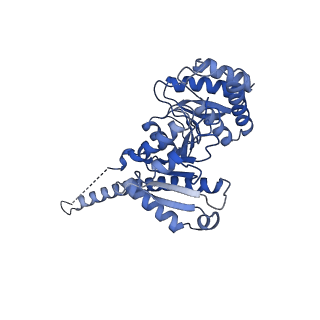 10469_6tdw_B_v1-0
Cryo-EM structure of Euglena gracilis mitochondrial ATP synthase, peripheral stalk, rotational state 1