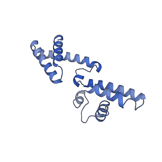10469_6tdw_C_v1-0
Cryo-EM structure of Euglena gracilis mitochondrial ATP synthase, peripheral stalk, rotational state 1
