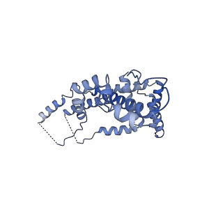 10469_6tdw_H_v1-0
Cryo-EM structure of Euglena gracilis mitochondrial ATP synthase, peripheral stalk, rotational state 1