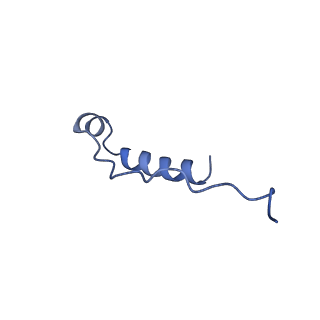 10469_6tdw_M_v1-0
Cryo-EM structure of Euglena gracilis mitochondrial ATP synthase, peripheral stalk, rotational state 1