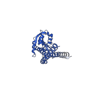 10470_6tdx_G_v1-0
Cryo-EM structure of Euglena gracilis mitochondrial ATP synthase, rotor, rotational state 1