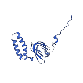 10470_6tdx_H_v1-0
Cryo-EM structure of Euglena gracilis mitochondrial ATP synthase, rotor, rotational state 1