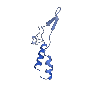 10470_6tdx_I_v1-0
Cryo-EM structure of Euglena gracilis mitochondrial ATP synthase, rotor, rotational state 1