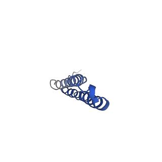 10470_6tdx_O_v1-0
Cryo-EM structure of Euglena gracilis mitochondrial ATP synthase, rotor, rotational state 1