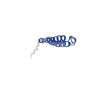 10470_6tdx_S_v1-0
Cryo-EM structure of Euglena gracilis mitochondrial ATP synthase, rotor, rotational state 1