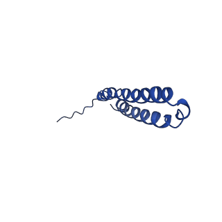 10470_6tdx_T_v1-0
Cryo-EM structure of Euglena gracilis mitochondrial ATP synthase, rotor, rotational state 1