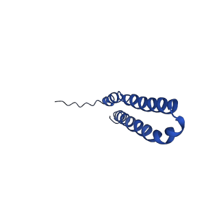 10470_6tdx_U_v1-0
Cryo-EM structure of Euglena gracilis mitochondrial ATP synthase, rotor, rotational state 1
