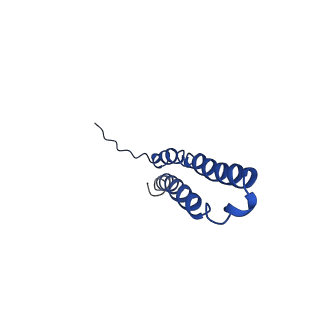 10470_6tdx_V_v1-0
Cryo-EM structure of Euglena gracilis mitochondrial ATP synthase, rotor, rotational state 1
