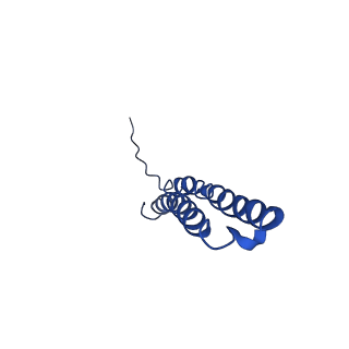 10470_6tdx_W_v1-0
Cryo-EM structure of Euglena gracilis mitochondrial ATP synthase, rotor, rotational state 1