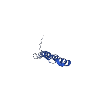 10470_6tdx_X_v1-0
Cryo-EM structure of Euglena gracilis mitochondrial ATP synthase, rotor, rotational state 1