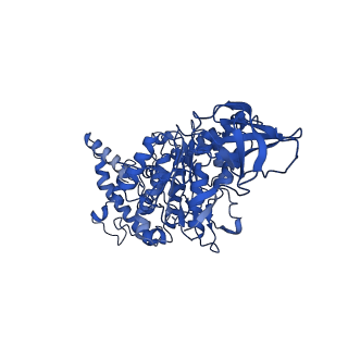 10471_6tdy_A_v1-0
Cryo-EM structure of Euglena gracilis mitochondrial ATP synthase, OSCP/F1/c-ring in rotational state 1