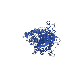 10471_6tdy_B_v1-0
Cryo-EM structure of Euglena gracilis mitochondrial ATP synthase, OSCP/F1/c-ring in rotational state 1