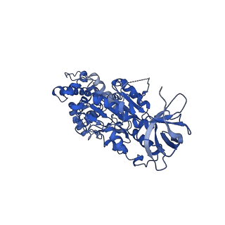 10471_6tdy_C_v1-0
Cryo-EM structure of Euglena gracilis mitochondrial ATP synthase, OSCP/F1/c-ring in rotational state 1