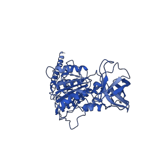 10471_6tdy_D_v1-0
Cryo-EM structure of Euglena gracilis mitochondrial ATP synthase, OSCP/F1/c-ring in rotational state 1