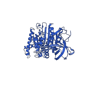 10471_6tdy_F_v1-0
Cryo-EM structure of Euglena gracilis mitochondrial ATP synthase, OSCP/F1/c-ring in rotational state 1