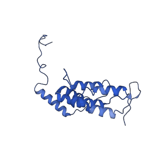 10471_6tdy_J_v1-0
Cryo-EM structure of Euglena gracilis mitochondrial ATP synthase, OSCP/F1/c-ring in rotational state 1