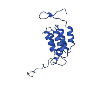 10471_6tdy_K_v1-0
Cryo-EM structure of Euglena gracilis mitochondrial ATP synthase, OSCP/F1/c-ring in rotational state 1