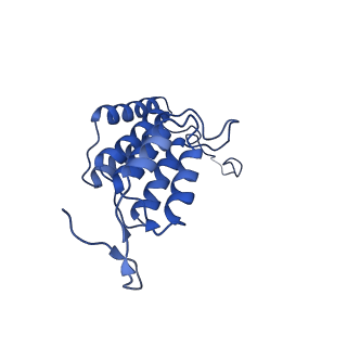 10471_6tdy_L_v1-0
Cryo-EM structure of Euglena gracilis mitochondrial ATP synthase, OSCP/F1/c-ring in rotational state 1