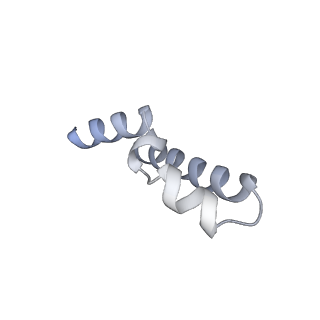 10471_6tdy_h_v1-0
Cryo-EM structure of Euglena gracilis mitochondrial ATP synthase, OSCP/F1/c-ring in rotational state 1