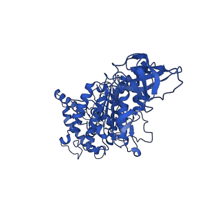10472_6tdz_A_v1-0
Cryo-EM structure of Euglena gracilis mitochondrial ATP synthase, OSCP/F1/c-ring, rotational state 2