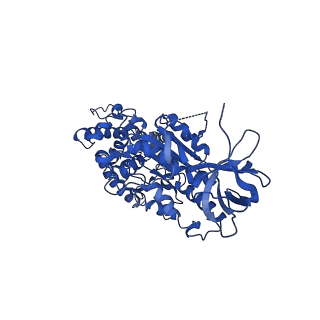 10472_6tdz_C_v1-0
Cryo-EM structure of Euglena gracilis mitochondrial ATP synthase, OSCP/F1/c-ring, rotational state 2