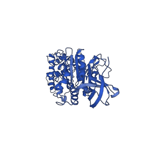 10472_6tdz_F_v1-0
Cryo-EM structure of Euglena gracilis mitochondrial ATP synthase, OSCP/F1/c-ring, rotational state 2