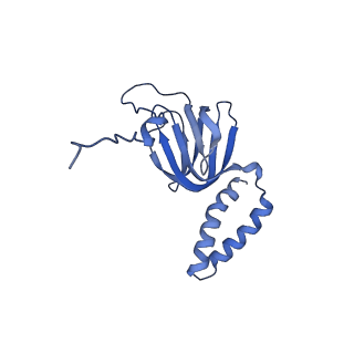 10472_6tdz_H_v1-0
Cryo-EM structure of Euglena gracilis mitochondrial ATP synthase, OSCP/F1/c-ring, rotational state 2