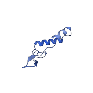10472_6tdz_I_v1-0
Cryo-EM structure of Euglena gracilis mitochondrial ATP synthase, OSCP/F1/c-ring, rotational state 2
