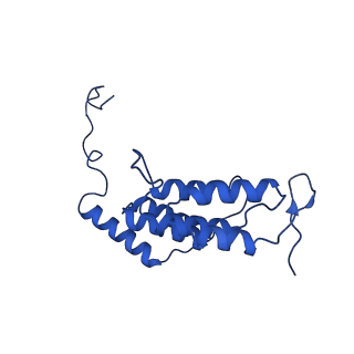 10472_6tdz_J_v1-0
Cryo-EM structure of Euglena gracilis mitochondrial ATP synthase, OSCP/F1/c-ring, rotational state 2