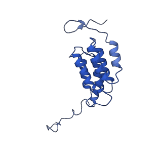 10472_6tdz_K_v1-0
Cryo-EM structure of Euglena gracilis mitochondrial ATP synthase, OSCP/F1/c-ring, rotational state 2