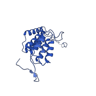10472_6tdz_L_v1-0
Cryo-EM structure of Euglena gracilis mitochondrial ATP synthase, OSCP/F1/c-ring, rotational state 2