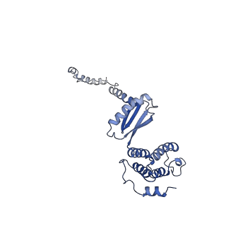 10472_6tdz_M_v1-0
Cryo-EM structure of Euglena gracilis mitochondrial ATP synthase, OSCP/F1/c-ring, rotational state 2